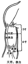 （图）天府